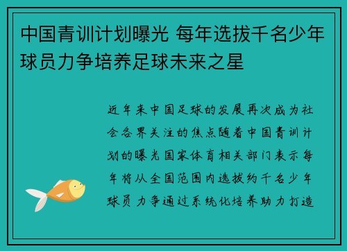 中国青训计划曝光 每年选拔千名少年球员力争培养足球未来之星