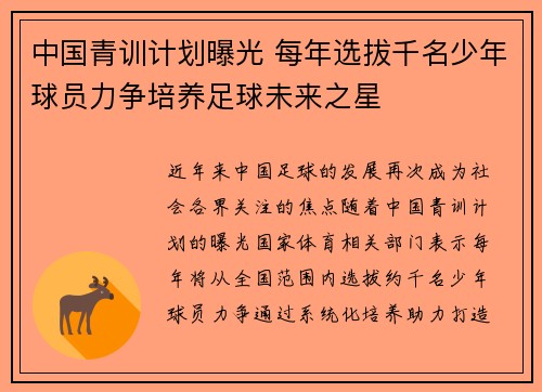 中国青训计划曝光 每年选拔千名少年球员力争培养足球未来之星