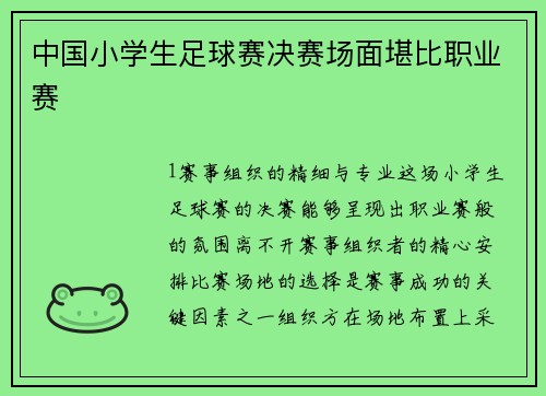 中国小学生足球赛决赛场面堪比职业赛