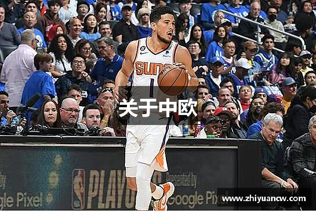 关于中欧